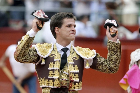 toros toros