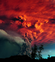 [Vea más imágenes]