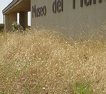 Acceso al museo, | EM Acceso al museo, | EM