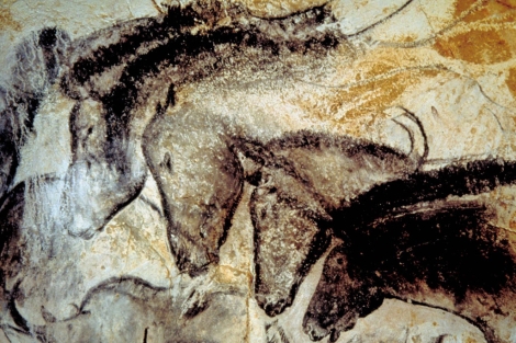 Pinturas rupestre de caballos prehistóricos.en cuevas de Francia.| PNAS