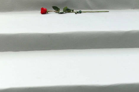 La rosa depositada por Luz Casal en memoria de las 54 mujeres asesinadas. | Efe