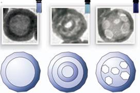 Las nanopartículas crean estructuras internas como 'matriuskas' que pueden abrir nuevas aplicaciones en los fármacos