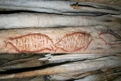Focas pintadas hace 42.000 años en la cueva de Nerja. | Efe