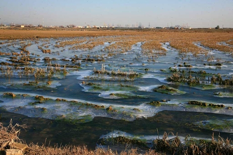 Imagen de las placas de hielo en el parque natural | E.M. Imagen de las placas de hielo en el parque natural | E.M.