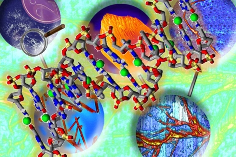 Ejemplo nanocable: una molécula de ADN modificada por la inserción de iones entre sus hebras. F. Zamora