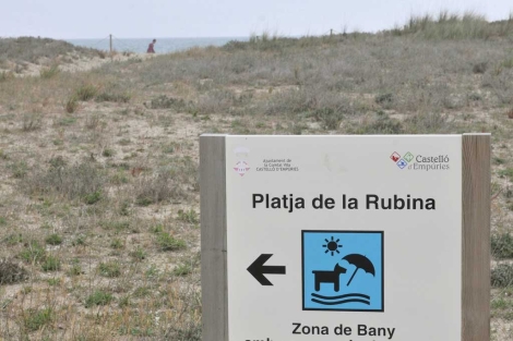 Un cartel avisa de que esa zona es apta para paseos caninos. | Efe Un cartel avisa de que esa zona es apta para paseos caninos. | Efe