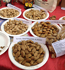 Almendras de Afganistán. | C. F, Almendras de Afganistán. | C. F,