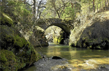 Paraje en la sierra de Guadarrama. | E.M.