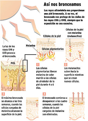 Pin En Remedios Naturales Para Todo