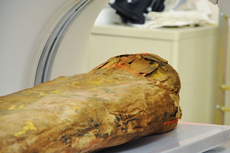 Tomografía computerizada de una momia egipcia. | Melissa Sotelo, Spurlock Museum