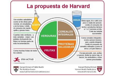 Nuevas recomendaciones sobre la alimentación. | Harvard Medical School