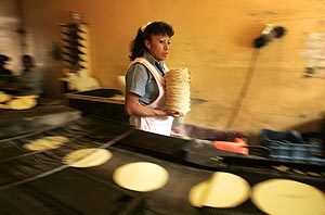tortilla mexicana